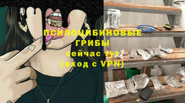 a pvp Ладушкин