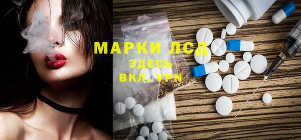 ECSTASY Лагань