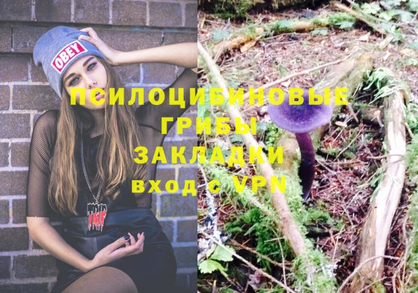 соль курить ск Лабытнанги