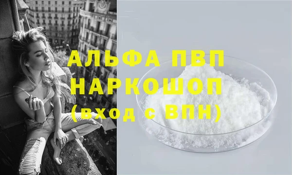 ECSTASY Лагань