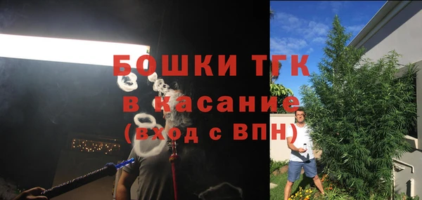 ECSTASY Лагань