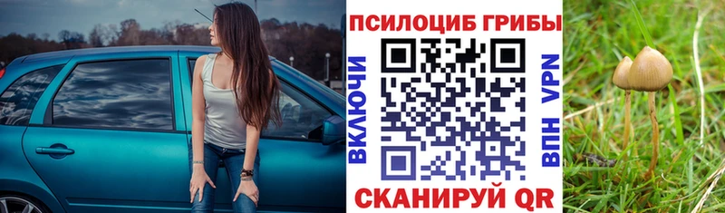 Псилоцибиновые грибы прущие грибы  маркетплейс Telegram  Малоархангельск 